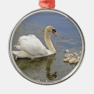 Swan Family Metal Tree Decoration