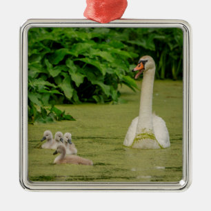 Swan Family Metal Tree Decoration