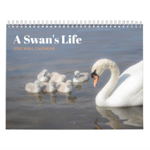 Swan Family Photograph Wall Calendar
