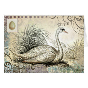 Swan Graphic