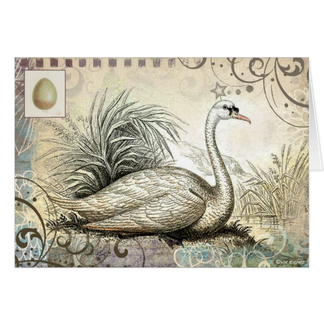 Swan Graphic (Front Horizontal)