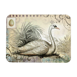 Swan Graphic Magnet