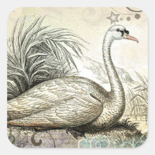 Swan Graphic Square Sticker