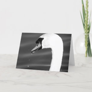 Swan in black and white card
