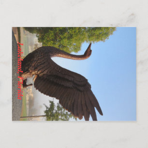 Swan in Flight Lakeland, Florida Postcard