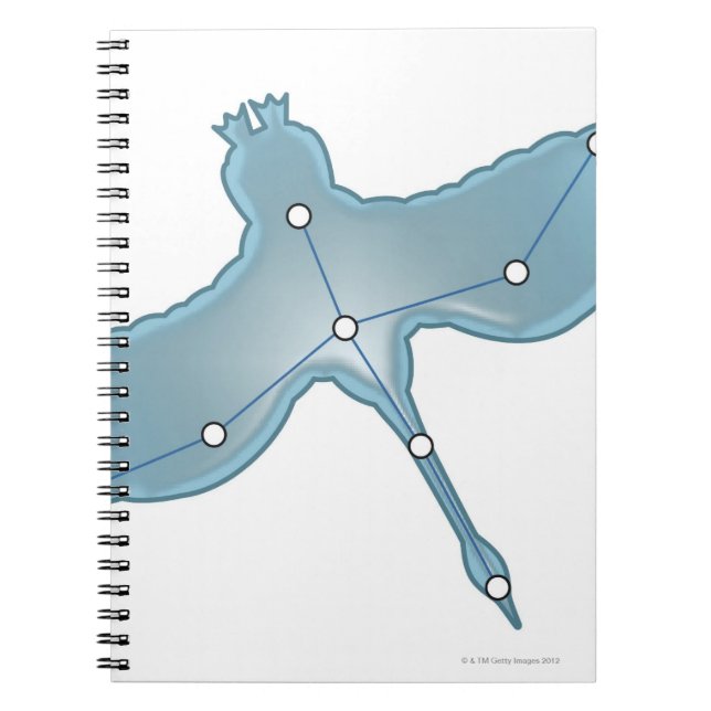 Swan in Flight Notebook (Front)