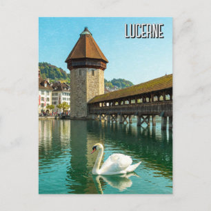 Swan in Lucerne Switzerland Travel Postcard