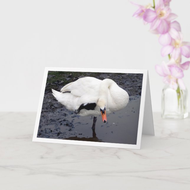 Swan in Salute Pose Card (Orchid)