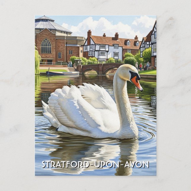 Swan in Stratford-Upon-Avon England Travel Postcard (Front)