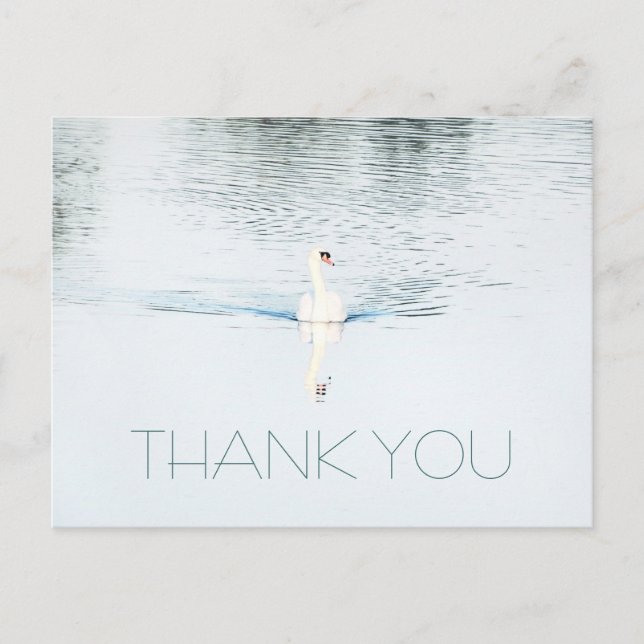 Swan in Water Minimalist Thank You Postcard (Front)