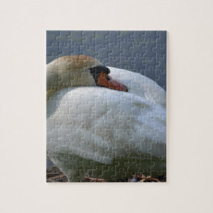 Swan Jigsaw Puzzle