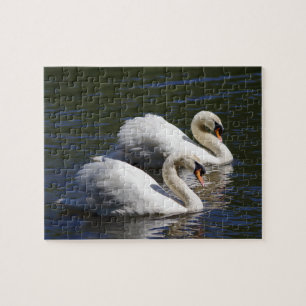 Swan Jigsaw Puzzle