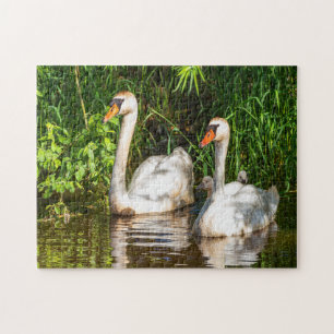 swan jigsaw puzzle