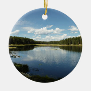Swan Lake II at Grand Teton National Park Ceramic Tree Decoration
