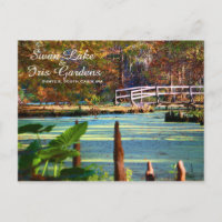 Swan Lake Iris Gardens, Sumter, South Carolina