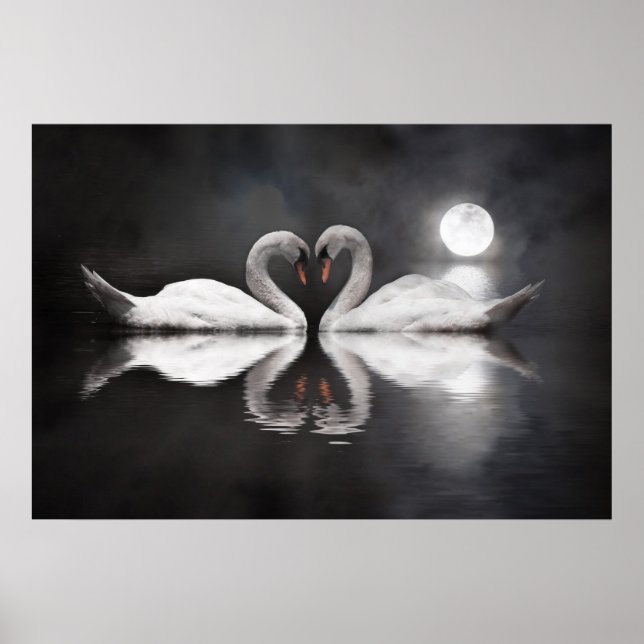 Swan lake love poster (Front)