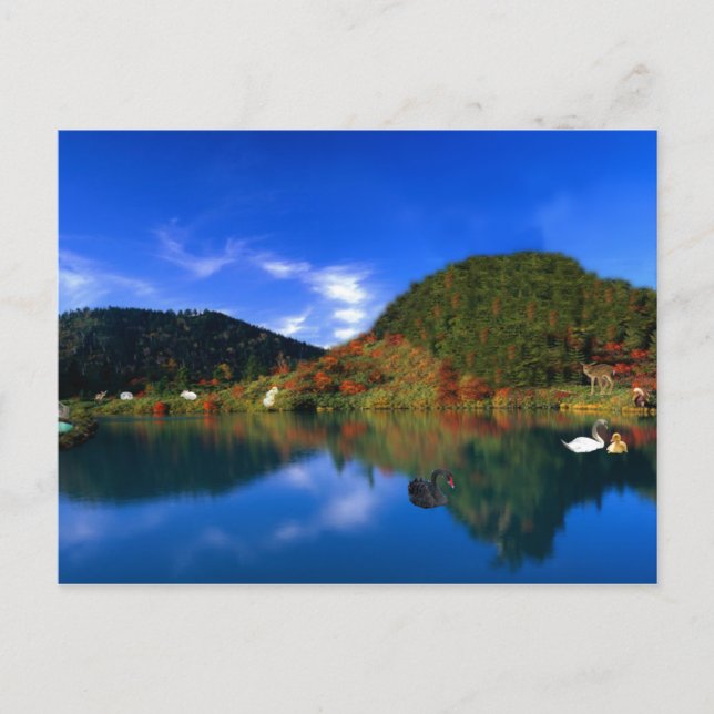 Swan Lake Mountains Postcard (Front)