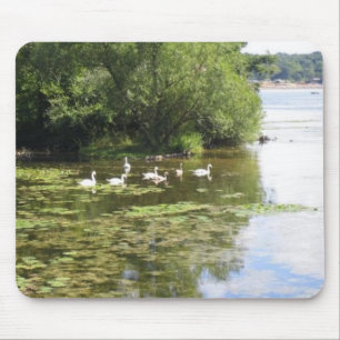 Swan Lake Mouse Mat