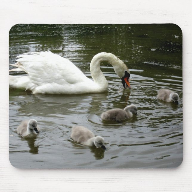 Swan Lake - Mousepad (Front)