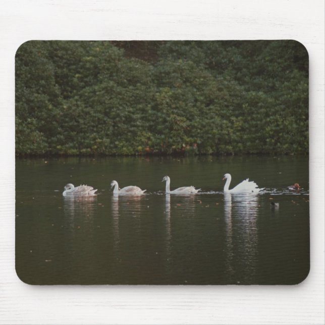 Swan lake Mousepad (Front)