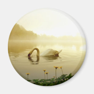 Swan Magnet