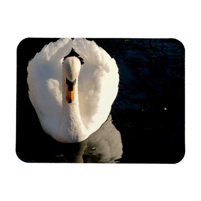 Swan Magnet (Horizontal)