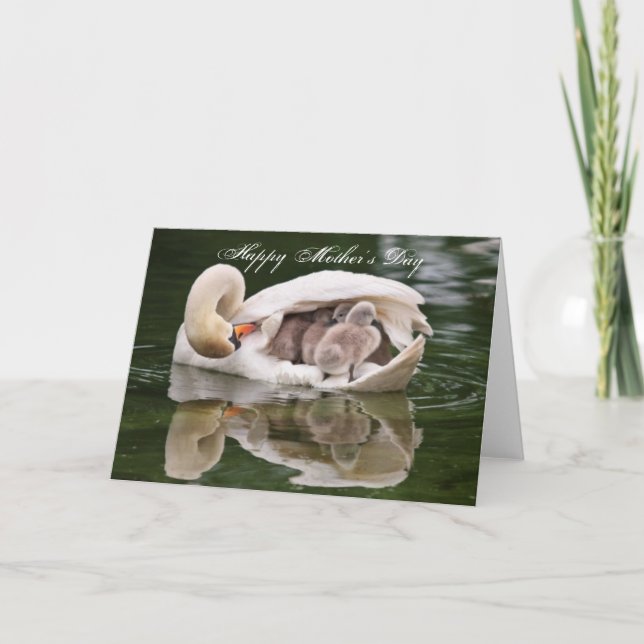 Swan Mother and Babies Mother's Day Card (Front)