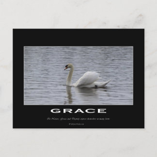 Swan Motivational Gifts Postcard