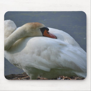 Swan Mouse Mat