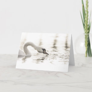 Swan Nature Photo Card