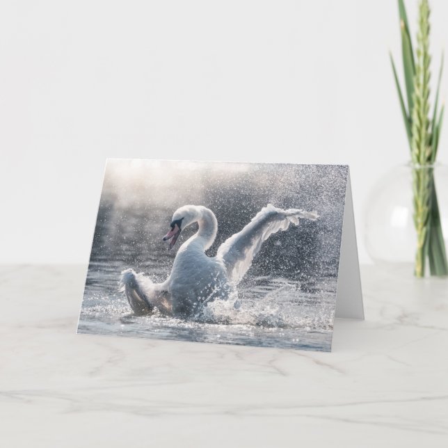 Swan Nature Photo Card (Front)