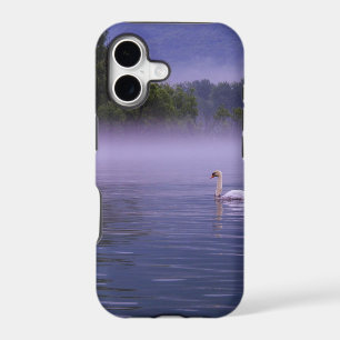 Swan on lake