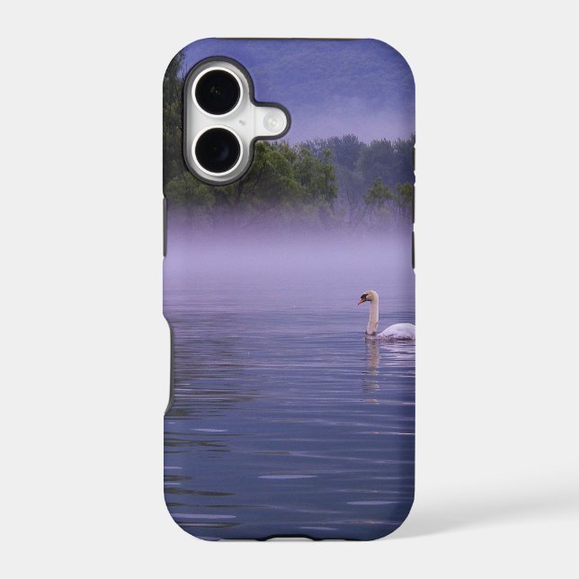 Swan on lake (Back)