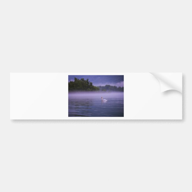 Swan on lake bumper sticker (Front)