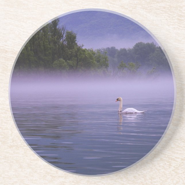 Swan on lake coaster (Front)