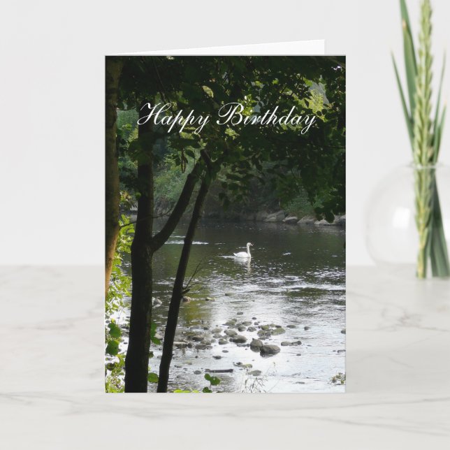 Swan on the River II - Birthday Card (Front)