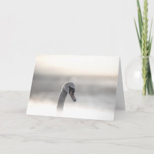 Swan Photo Card