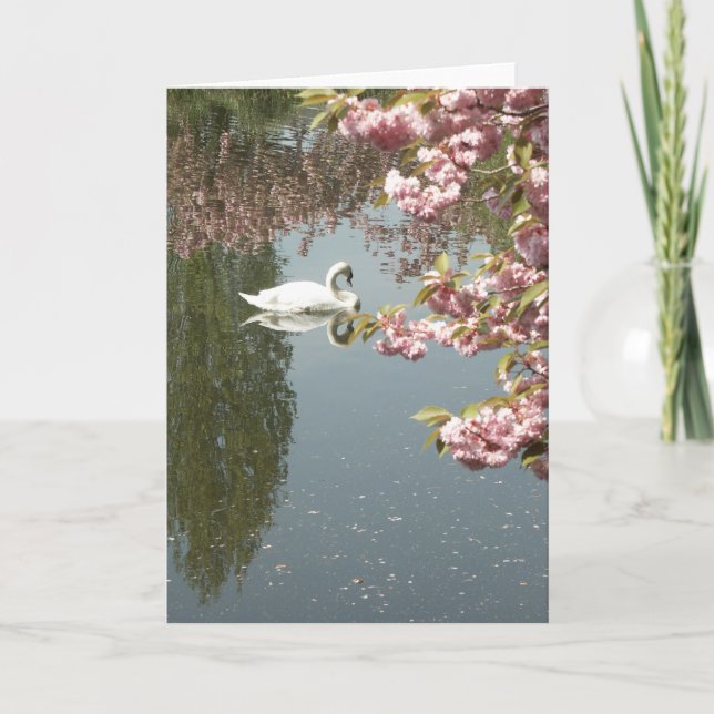 Swan Photo Card (Front)