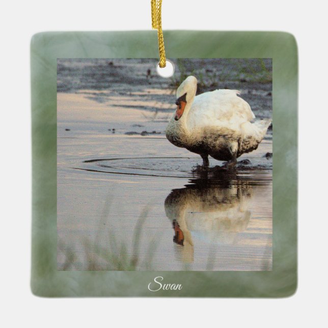 Swan Photo Ornament  (Front)