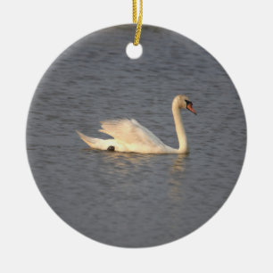 Swan Photo Ornament
