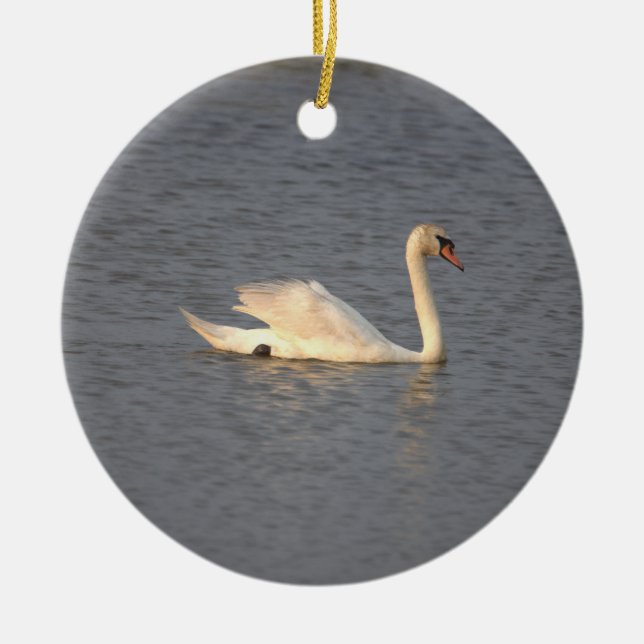 Swan Photo Ornament  (Front)