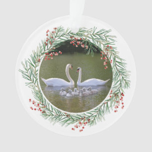 Swan photo with holly berry frame ornament