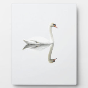 Swan Plaque