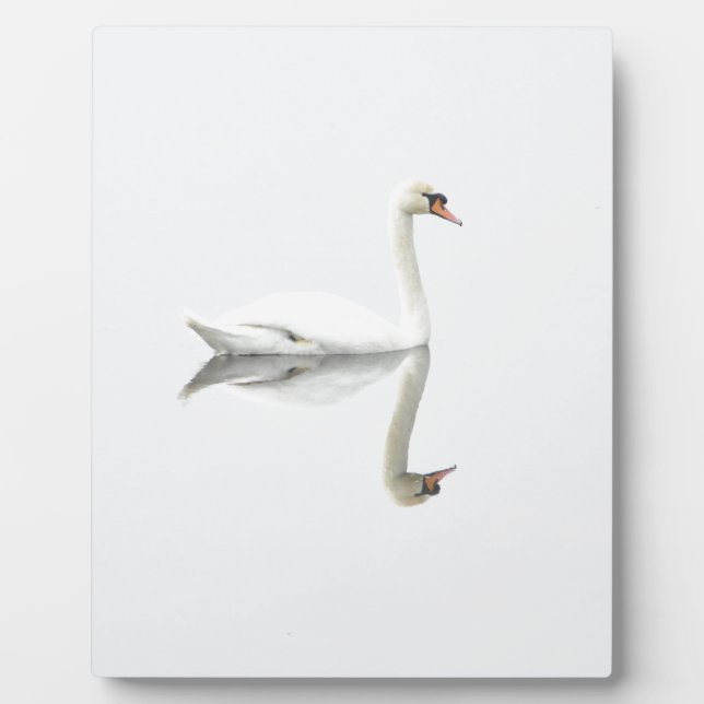 Swan Plaque (Front)