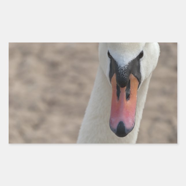 Swan Rectangular Sticker (Front)