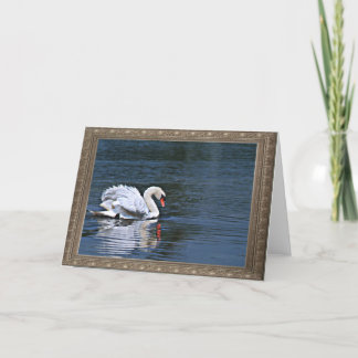 swan ruffled feathers 1 card