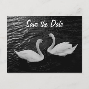 Swan Save the Date Postcard
