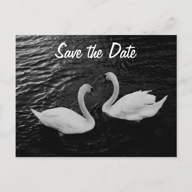 Swan Save the Date Postcard (Front)