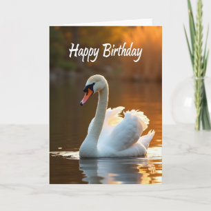 Swan Serenity Birthday Card