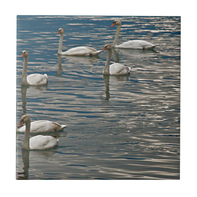 Swan Song Tile (Front)